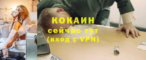 ПСИЛОЦИБИНОВЫЕ ГРИБЫ Верея